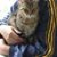 Roderich Z. image
